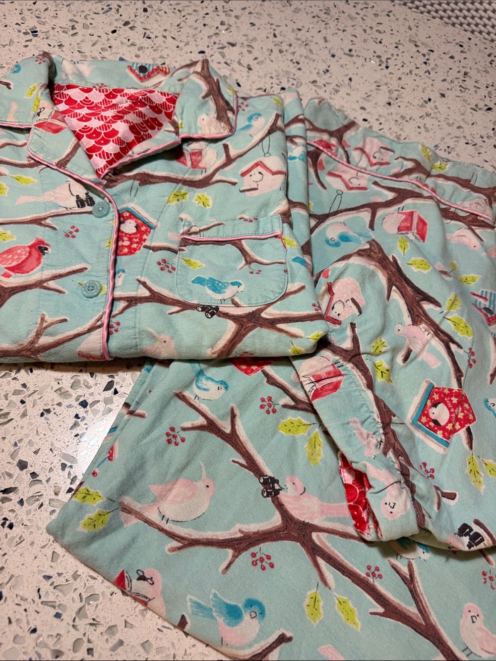 Nick & Nora  Bird Print bird house  Pajama Set - Light Aqua medium
